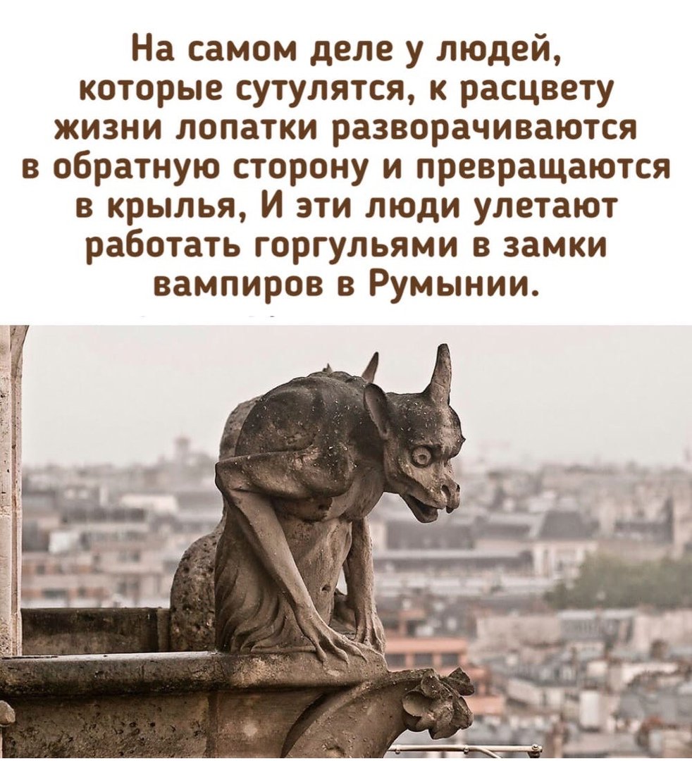Собор Парижской Богоматери горгульи