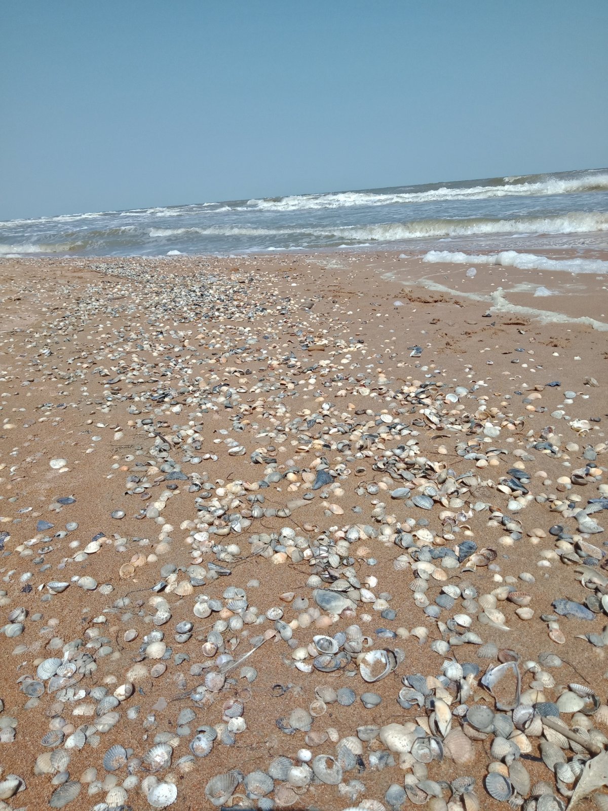 Самое соленое азовское море
