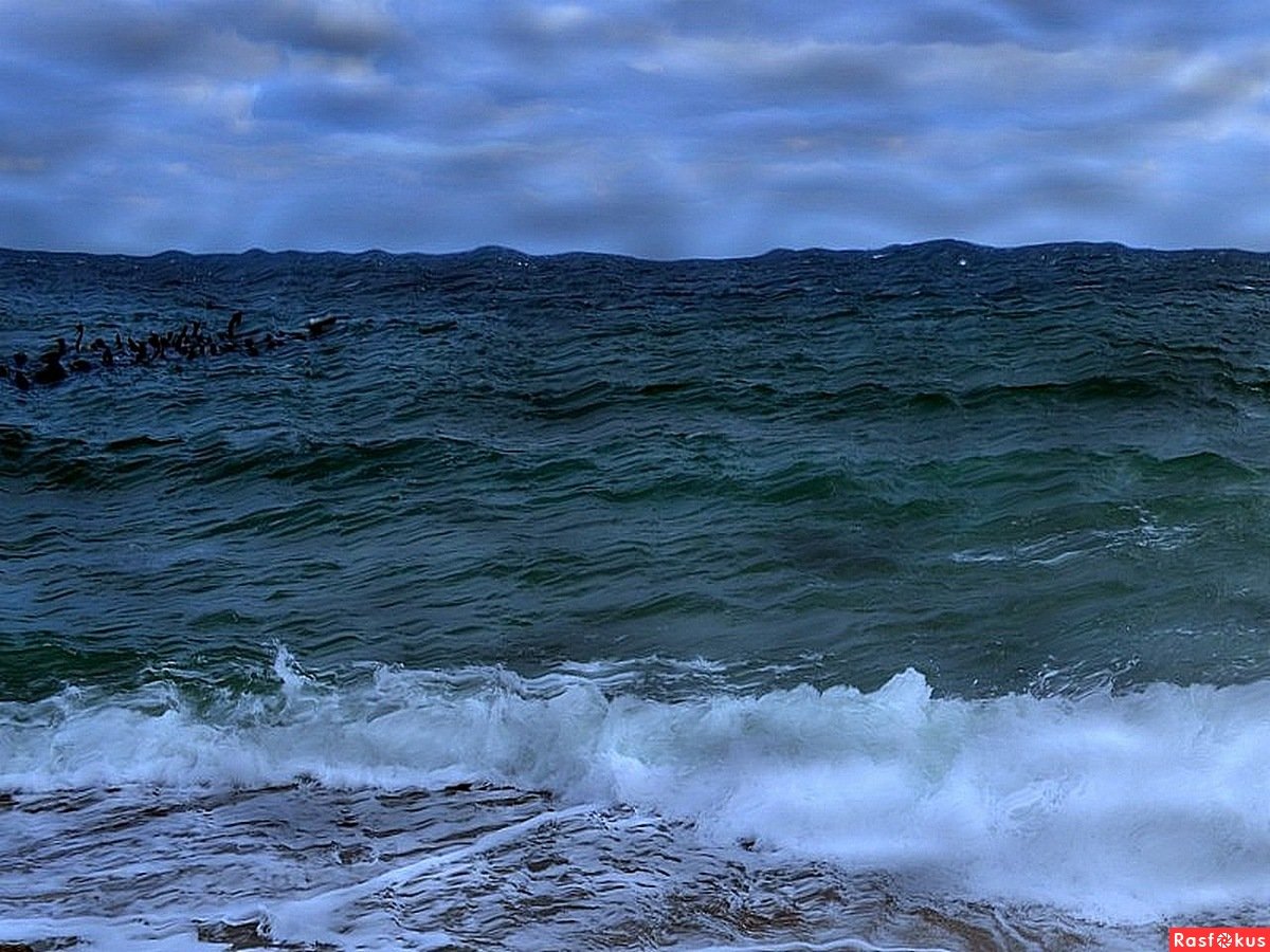 Холодное Северное море