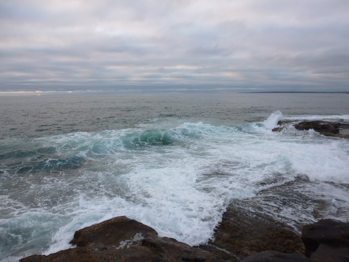 Холодное море Заполярья