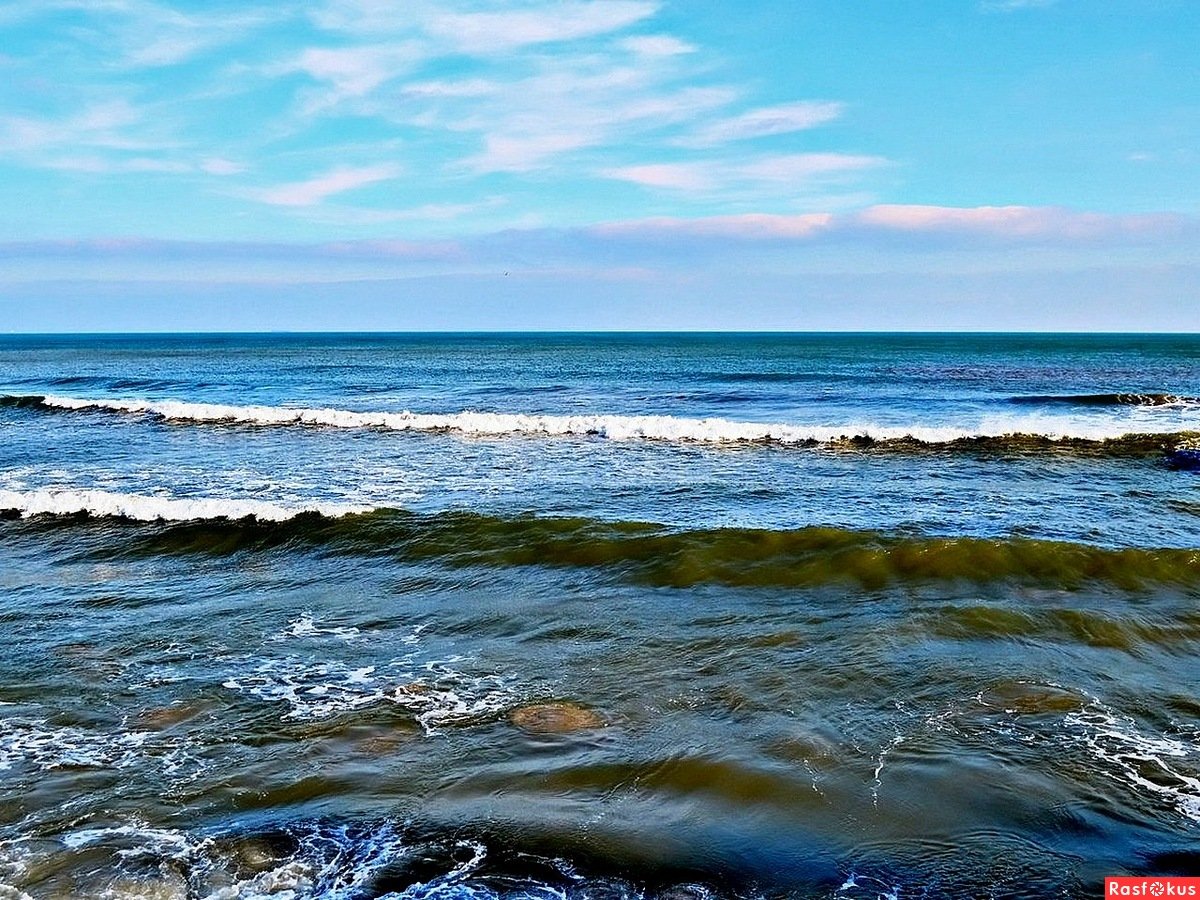 Берег холодного моря