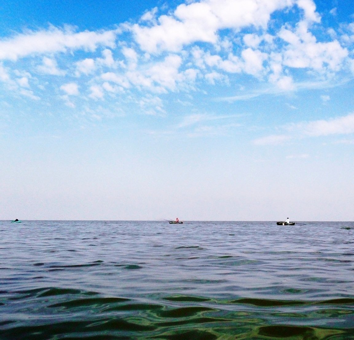 Кубань Азовское море