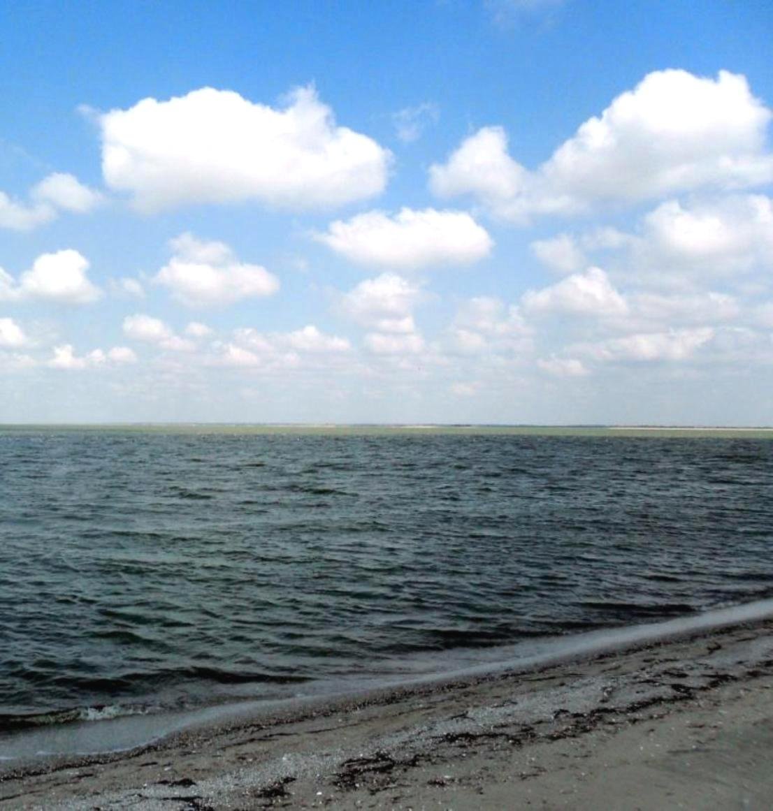 Ясенский залив Азовского моря