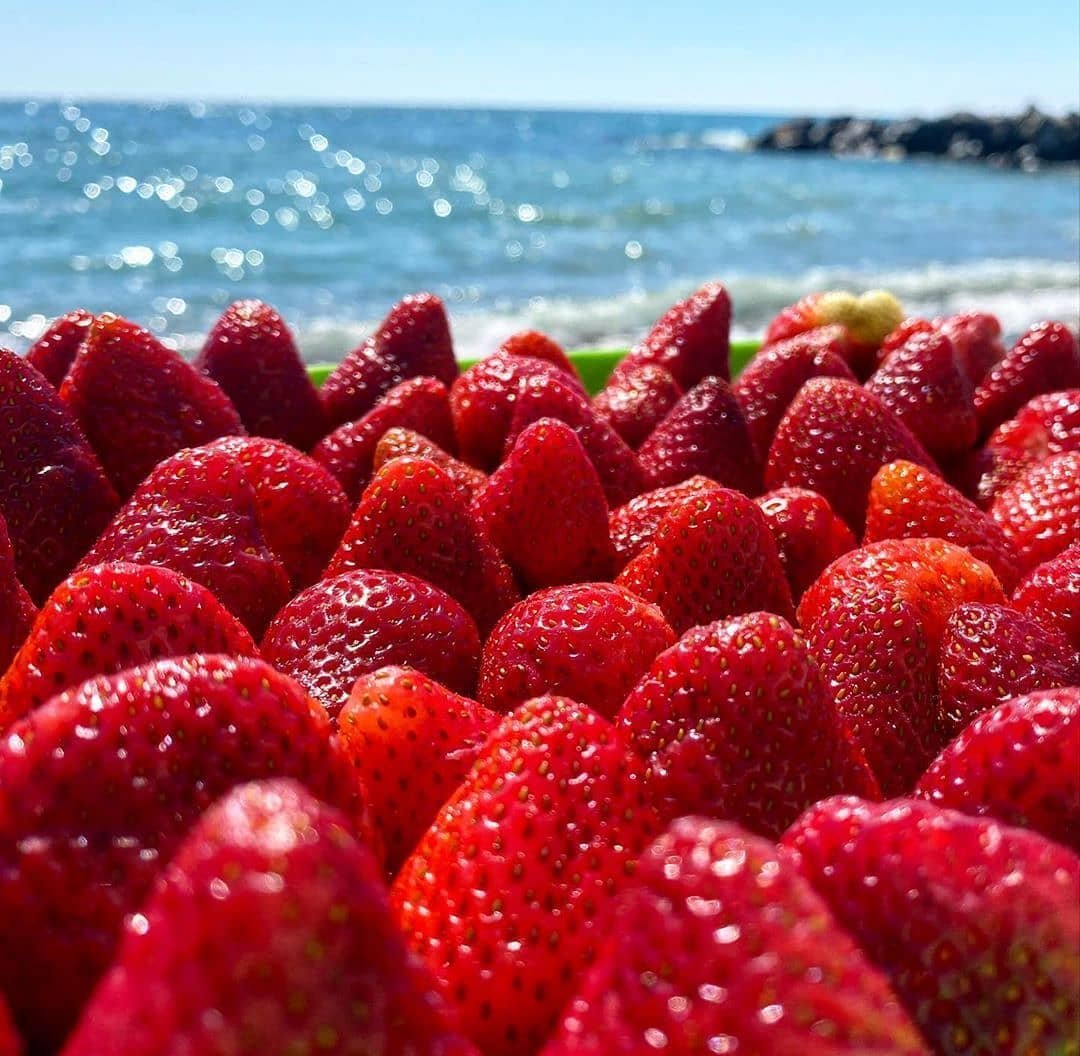 Красивые фрукты и море