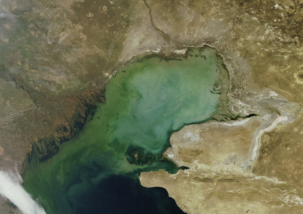 Аральское море 2020 Спутник