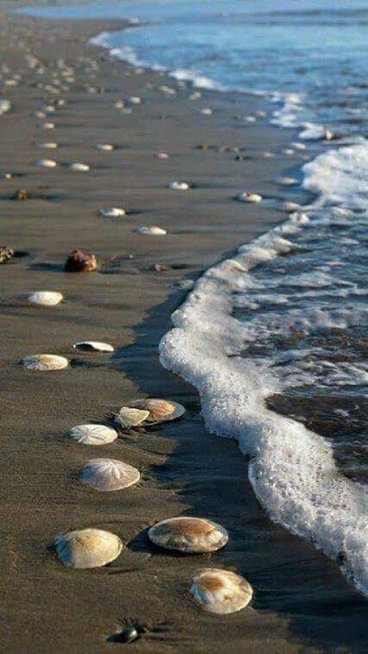 Вечное море
