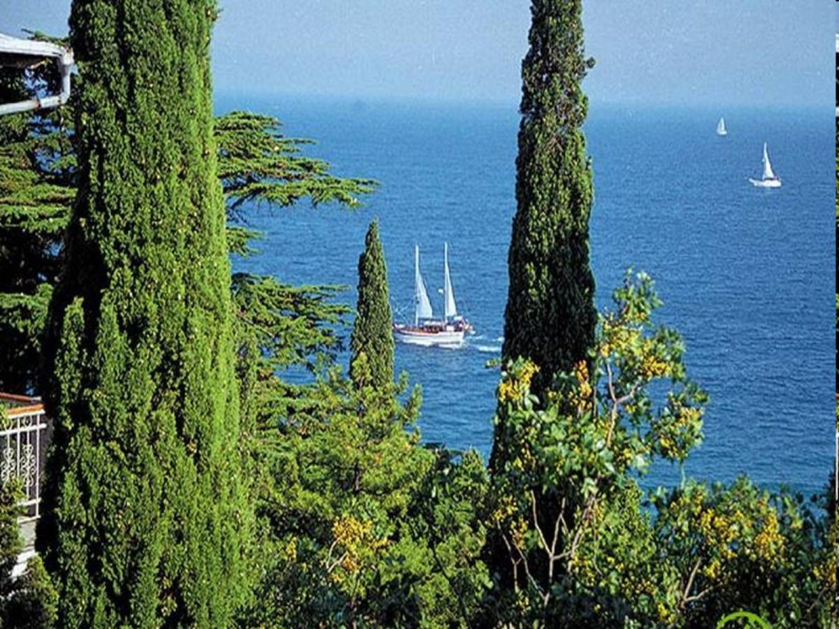 Кипарисы Ялта море