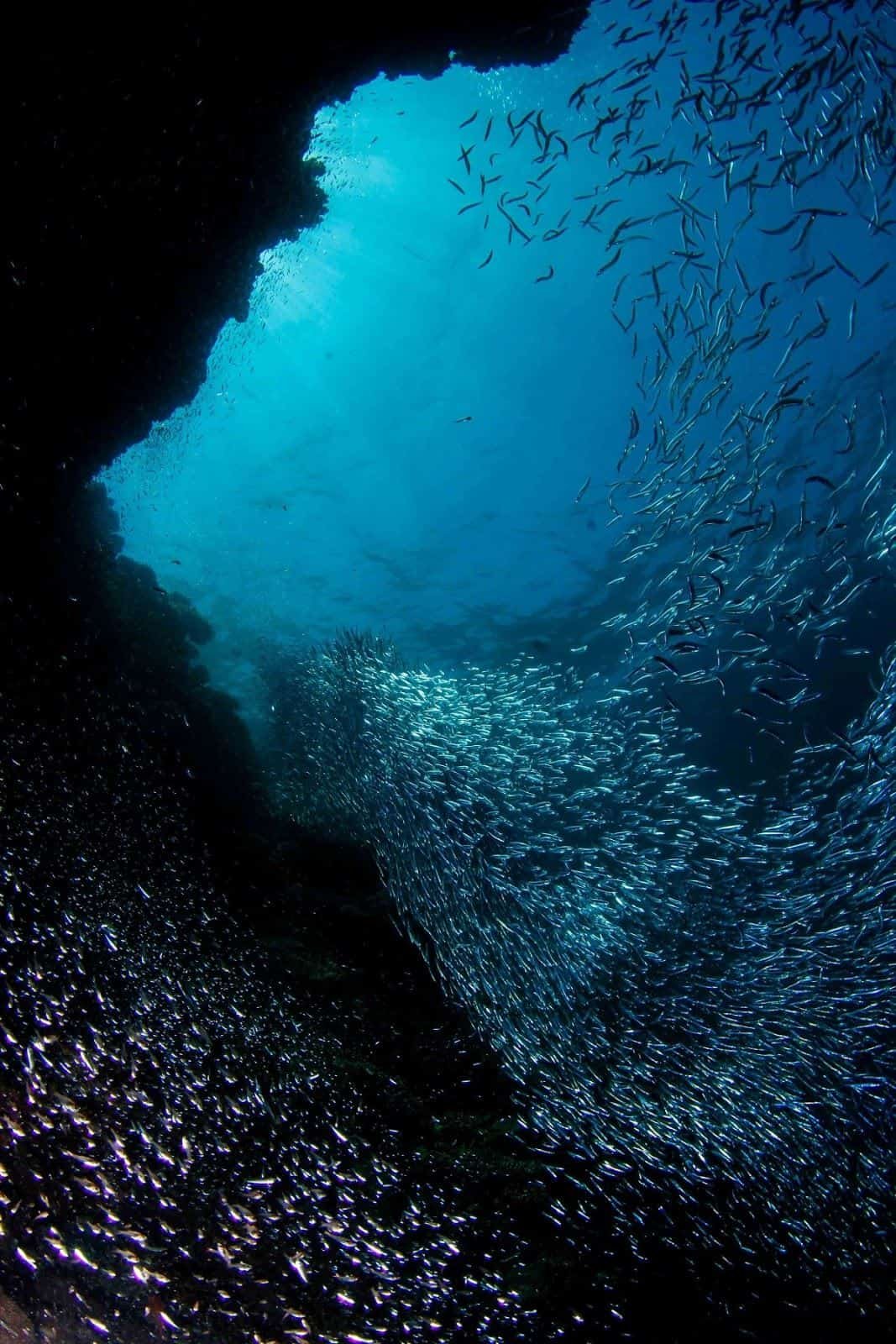 Море глубина