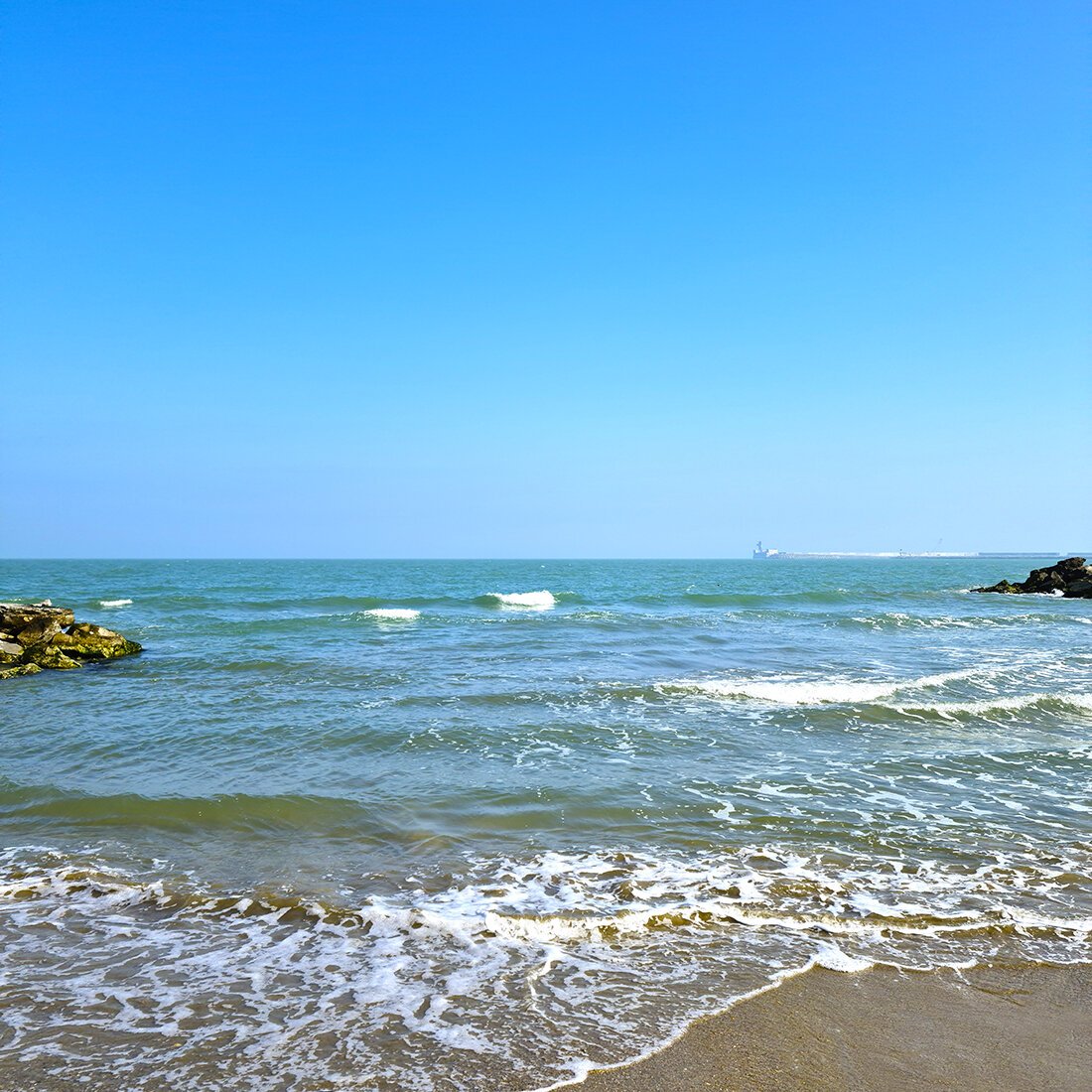 Самур каспийское море