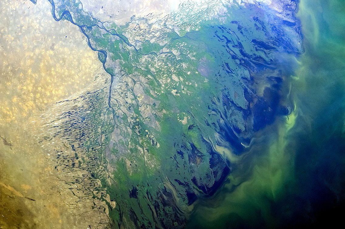 Каспийское море Дельта Волги