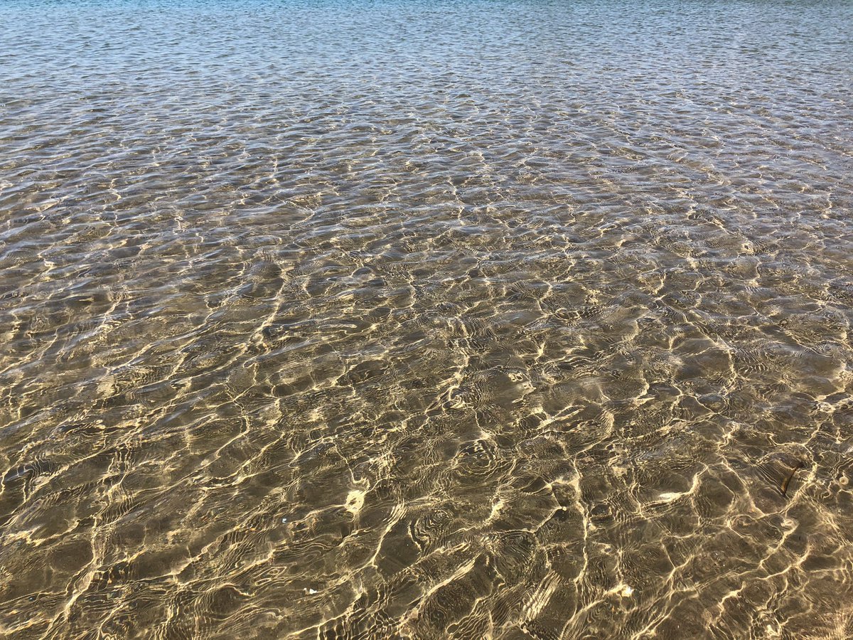 Чистое Азовское море