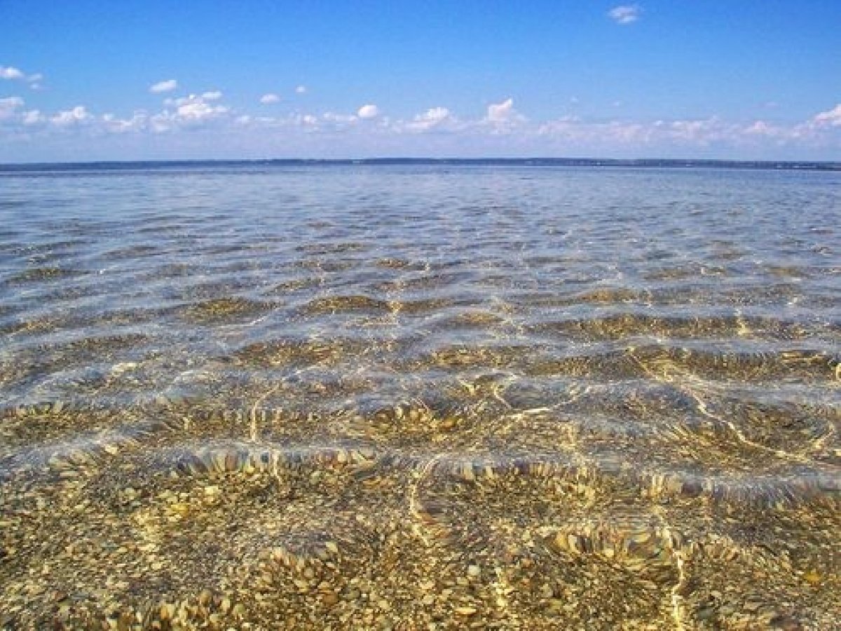 Берег Азовского моря