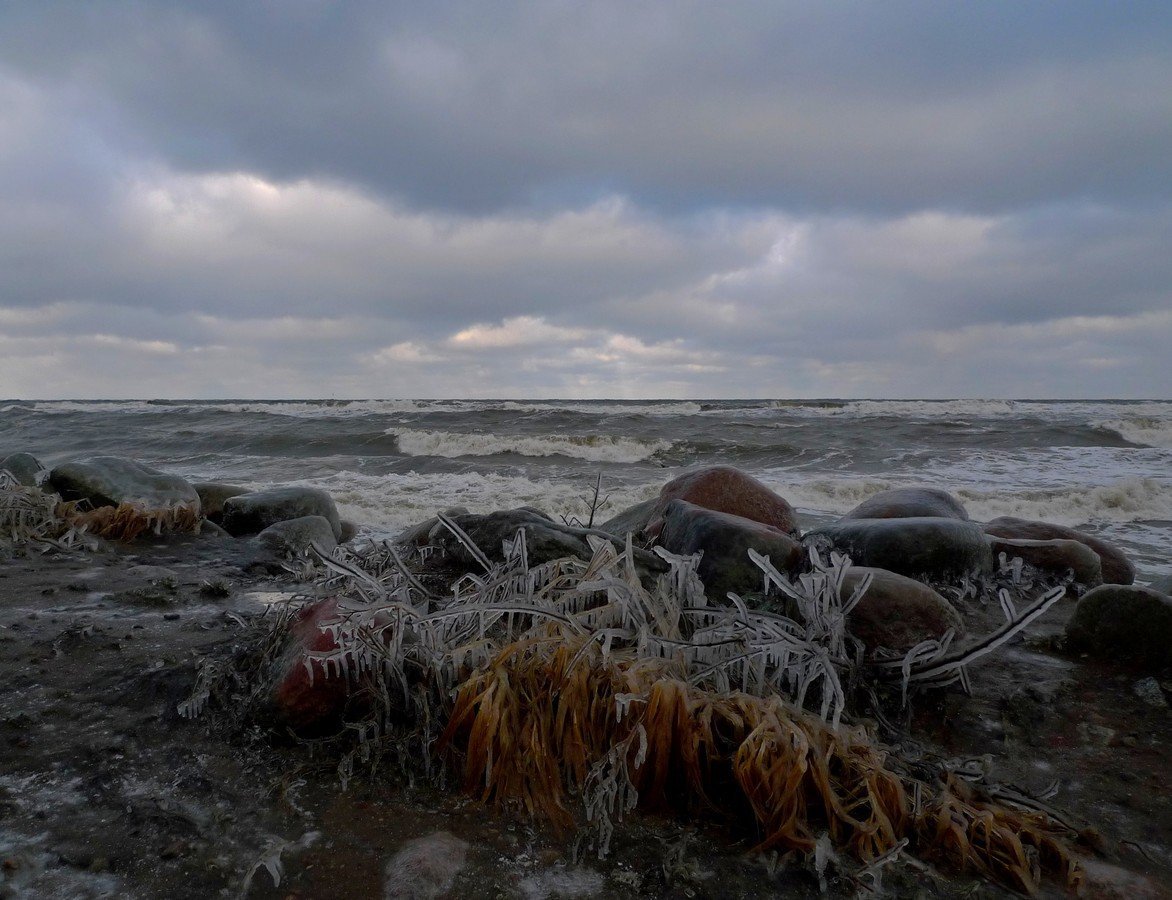 Балтийское море в ноябре