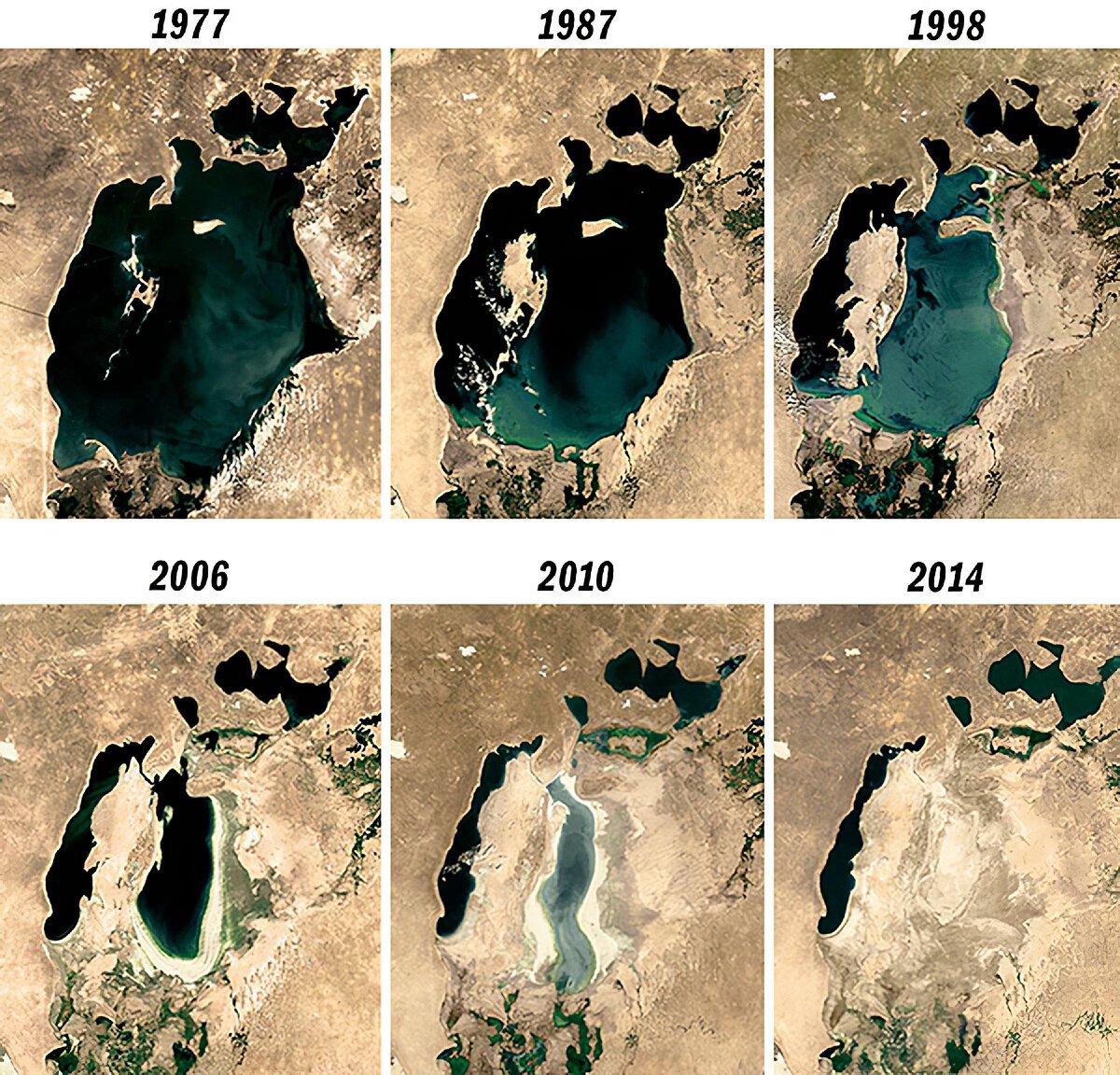 Аральское море 2020