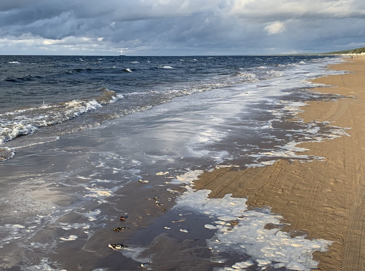 Рижский залив Балтийского моря