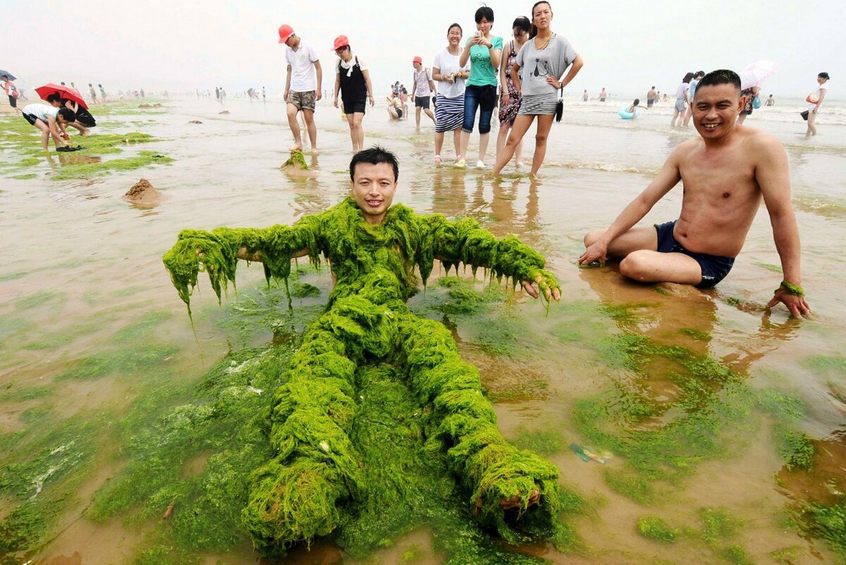 Тина в воде