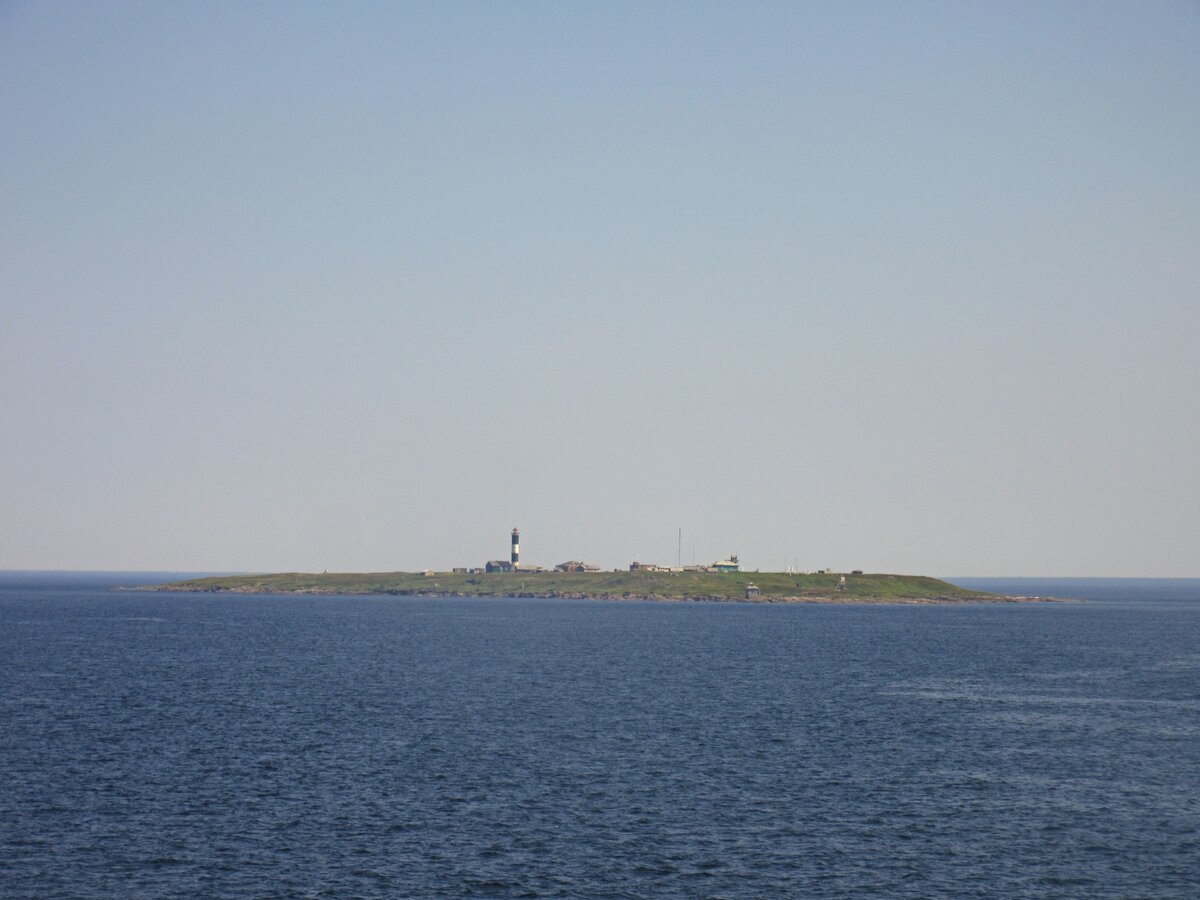 О Сосновец белое море