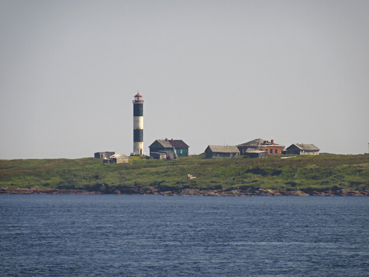 Остров сосновец белое море