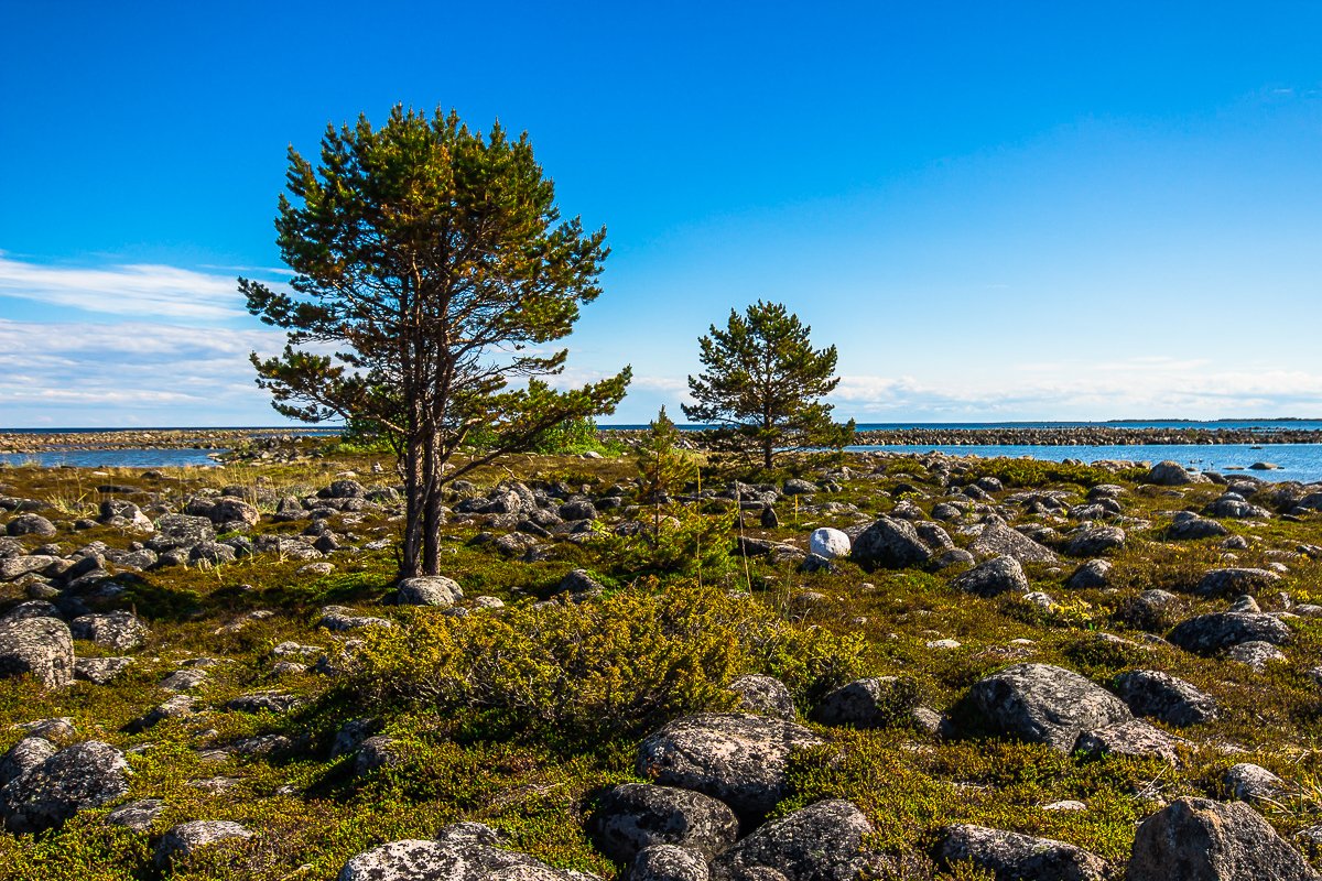 Соловецкие острова Морена