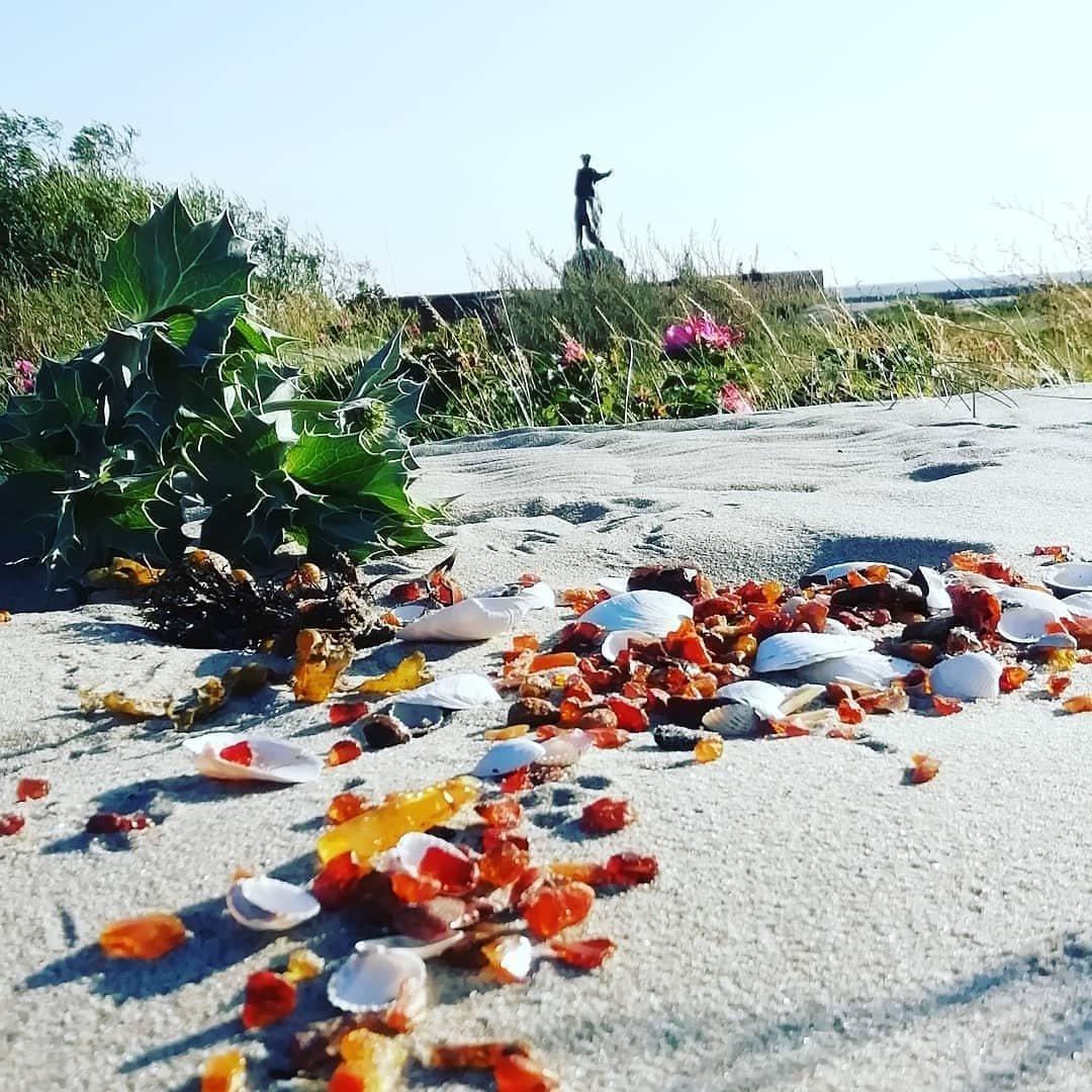 Балтийское море Янтарный пляж Калининград