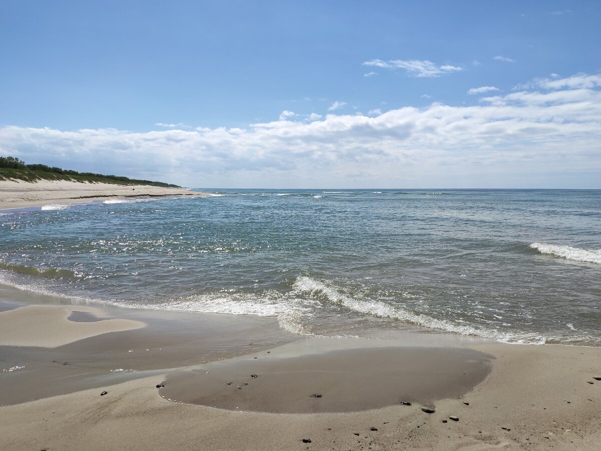Зеленоградск пляж Куршская коса