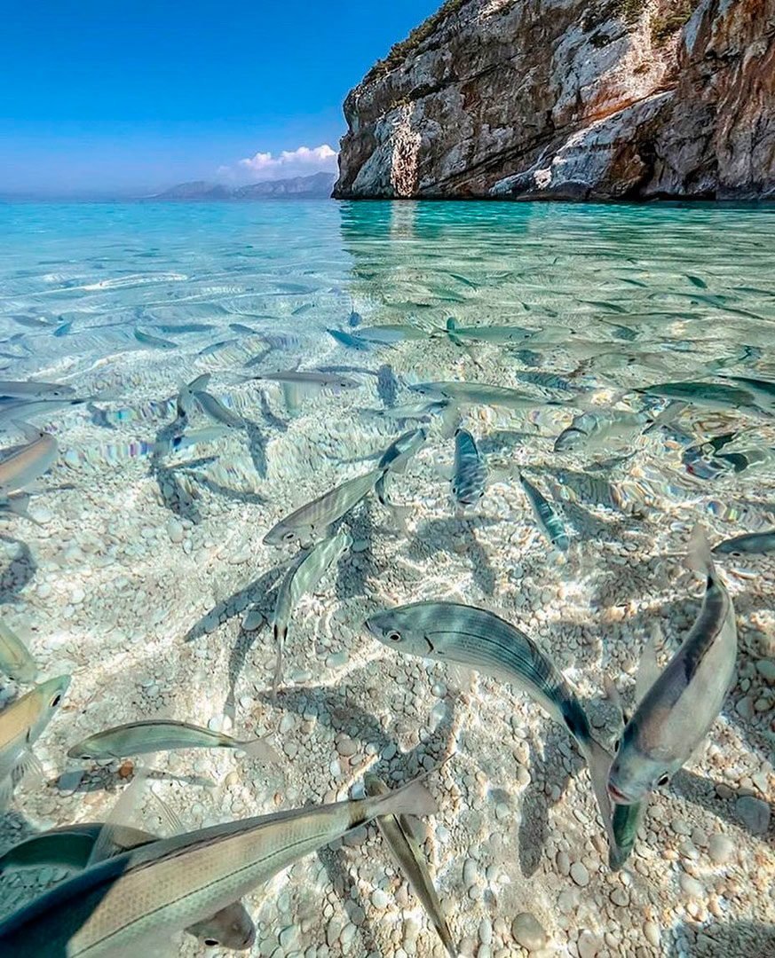 Прозрачная вода море