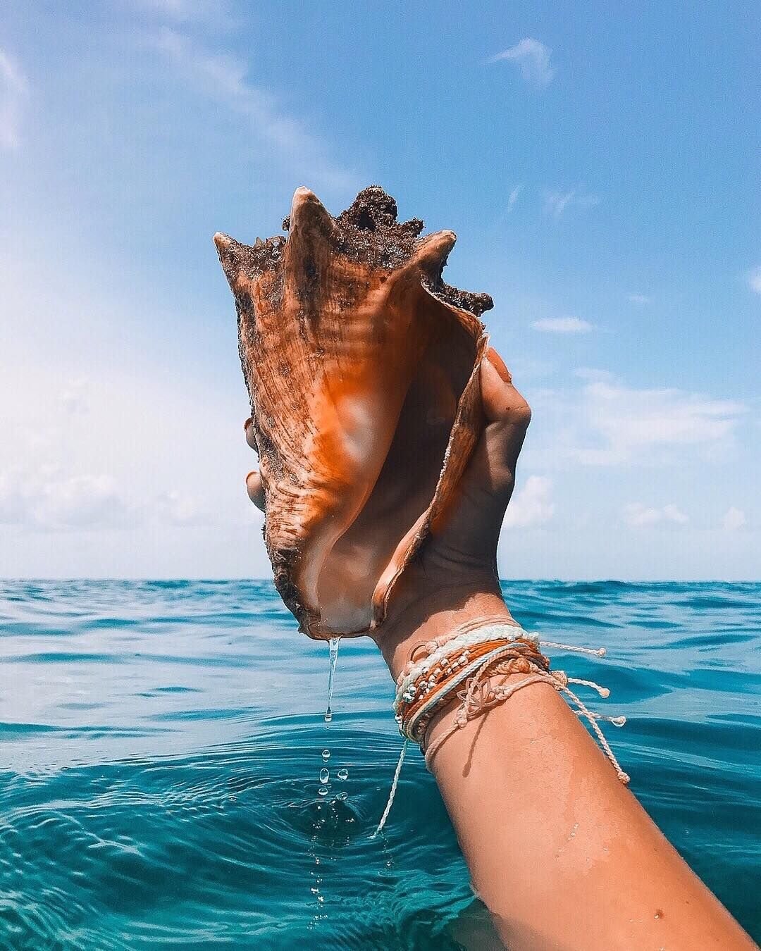 Море шепчет