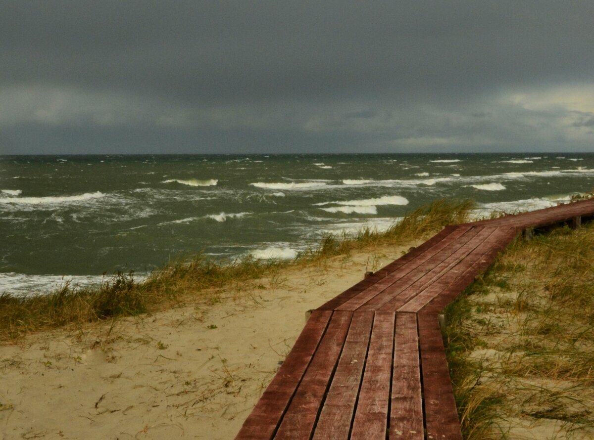 Балтийское море Куршская коса