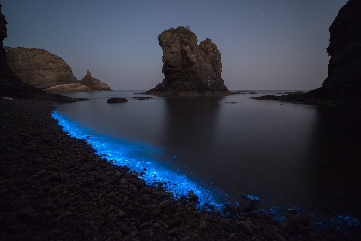 Море фосфорится ночью в Крыму