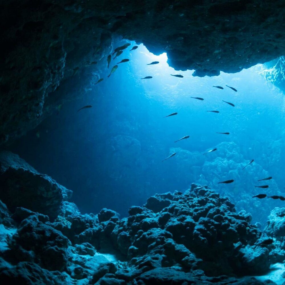 Minelli Deep Sea