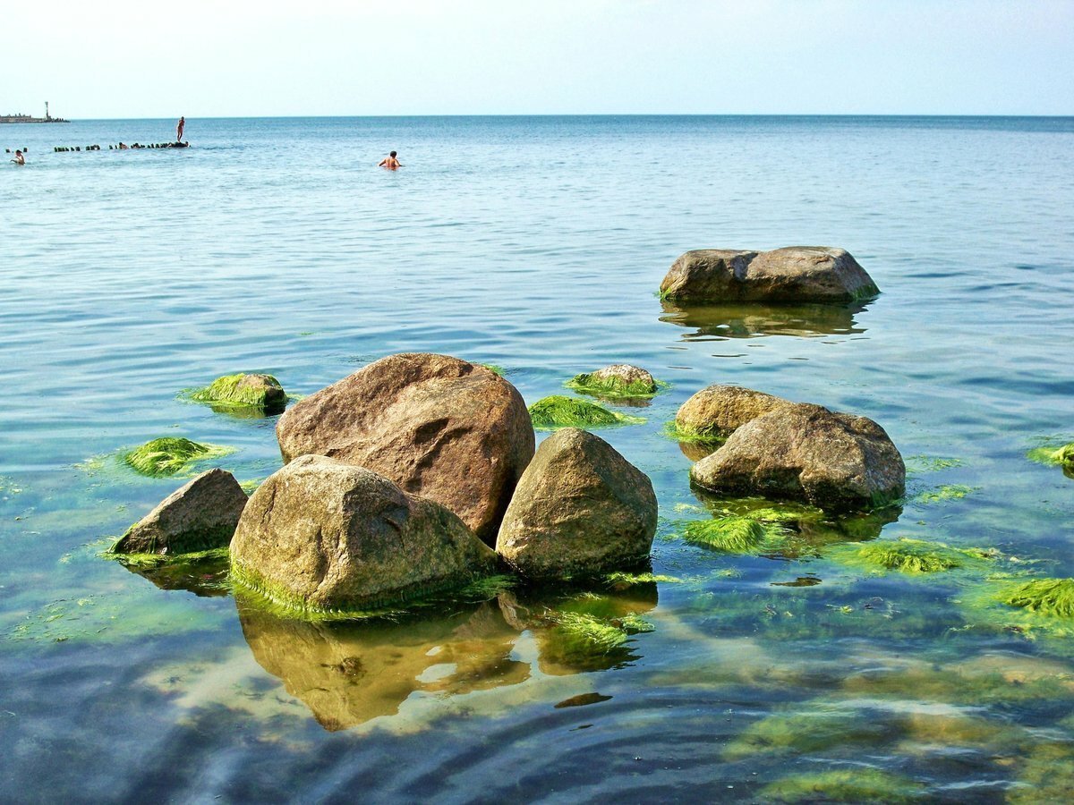 Берег Балтийского моря с валунами в Калининграде