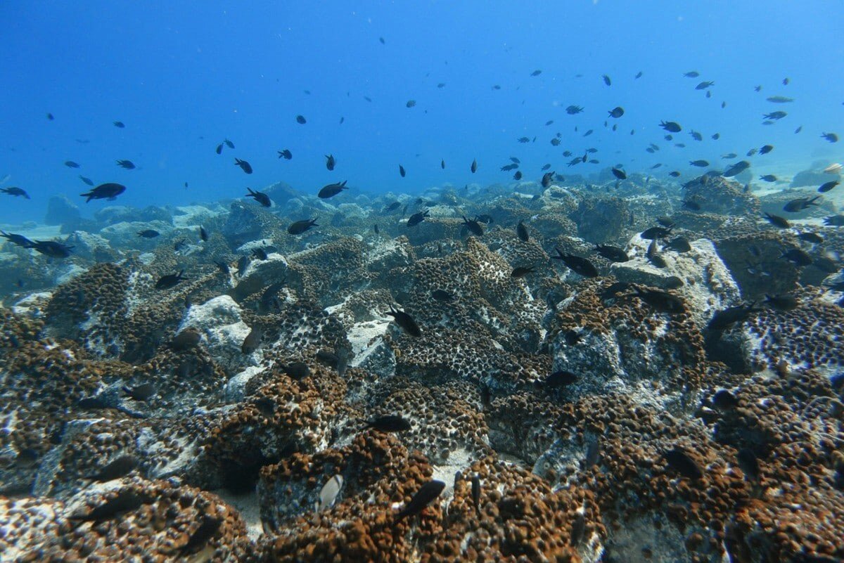 Отходы на дне моря