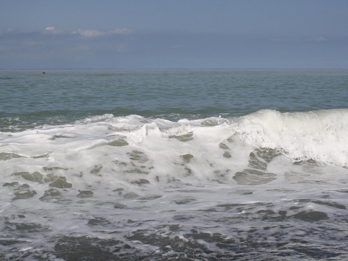Кубань Азовское море