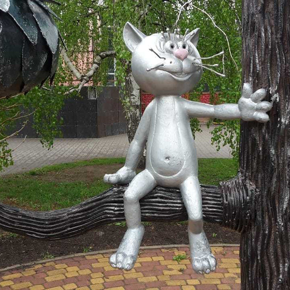 Кот с улицы Лизюкова Воронеж
