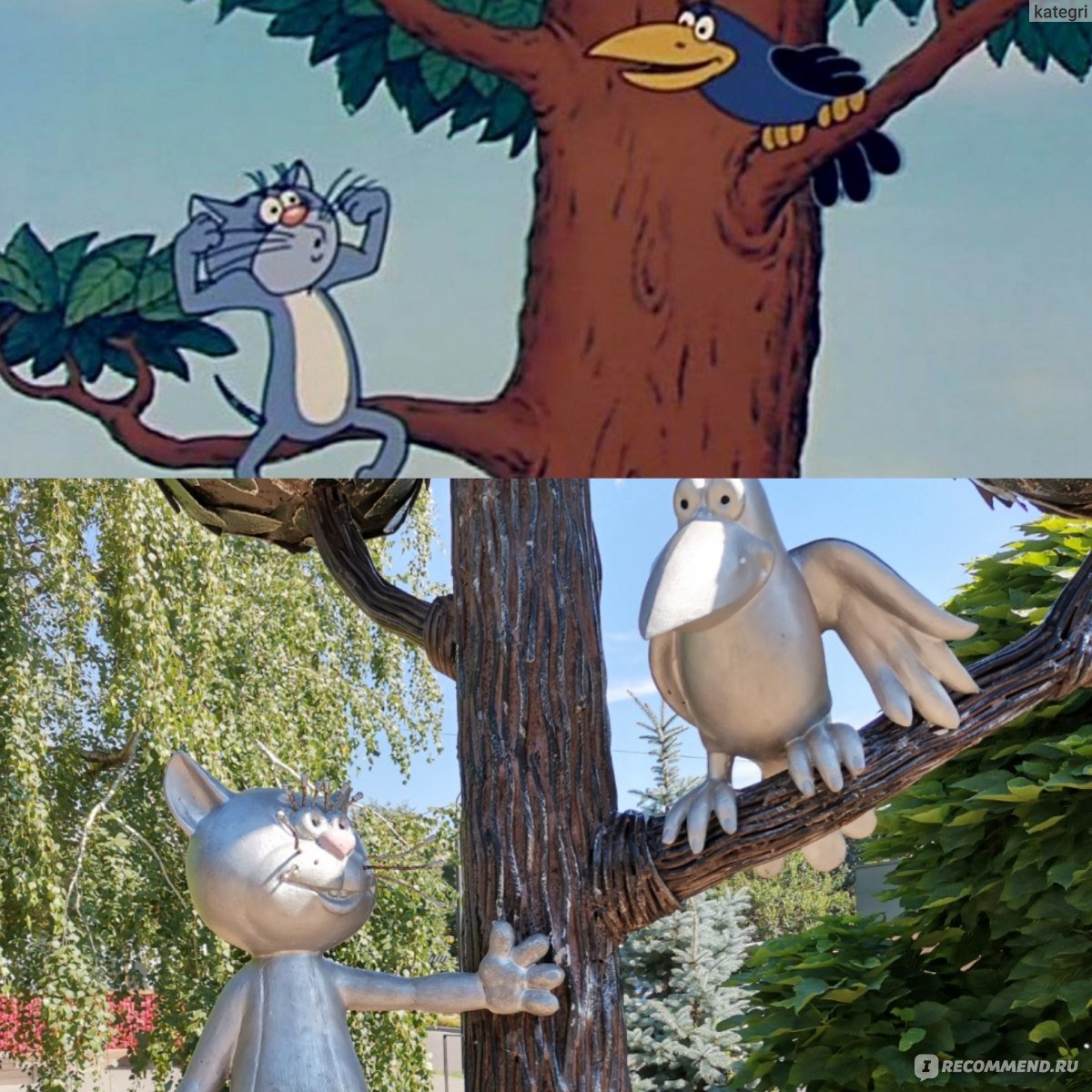 Кот с улицы Лизюкова Воронеж
