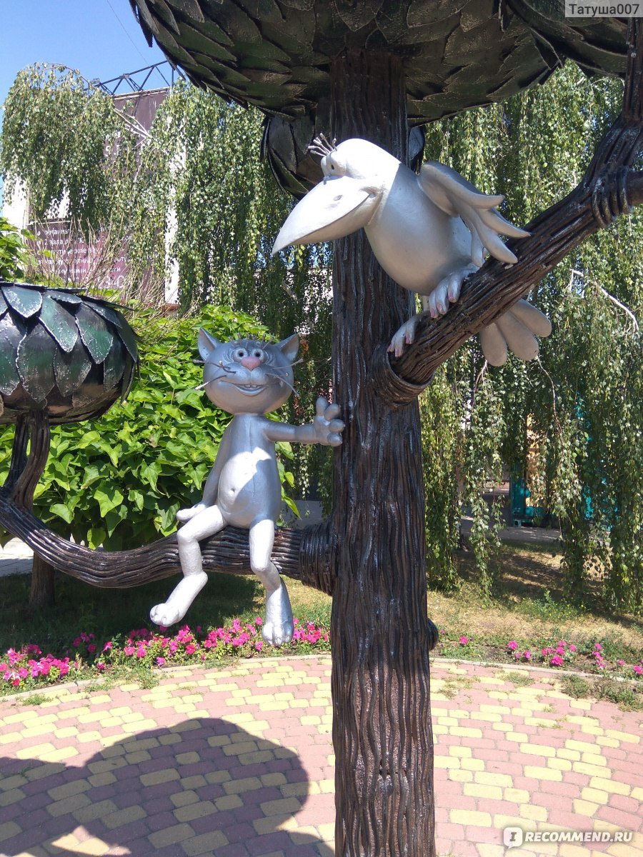 Кот на Лизюкова в Воронеже