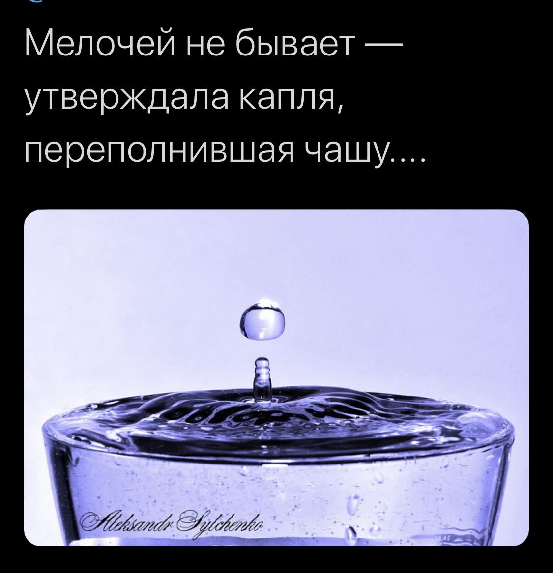 Последняя капля в чаше терпения