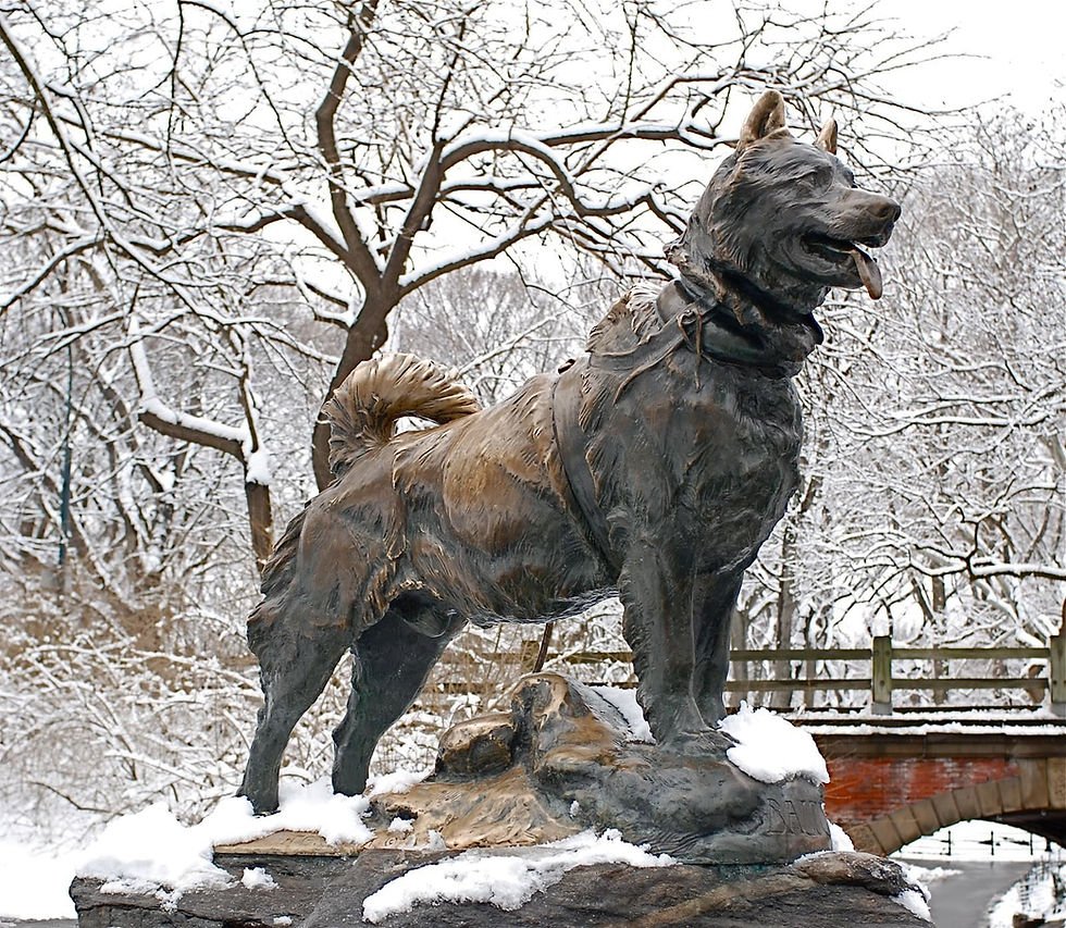 Памятник собаке Балто в Нью-Йорке