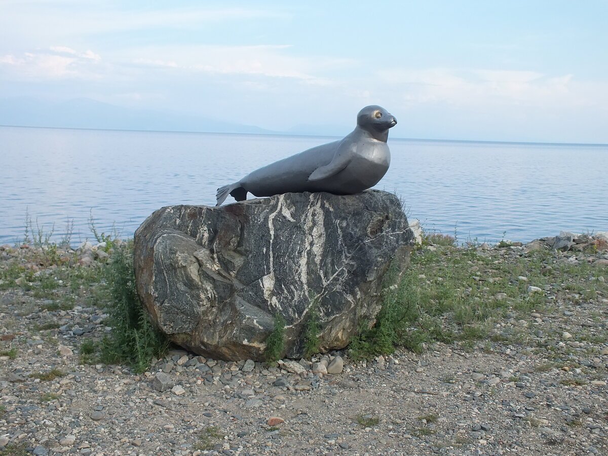 Памятник нерпе в Иркутске