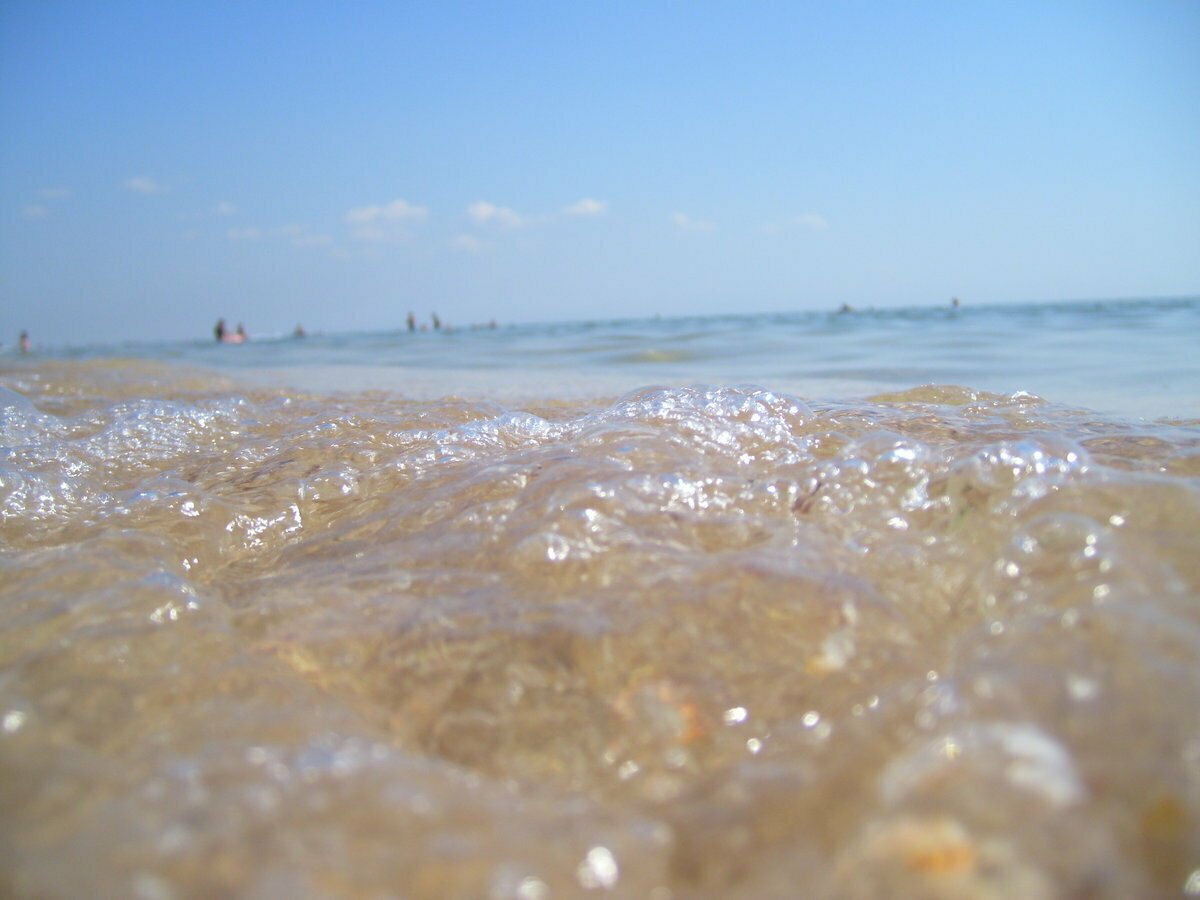 Азовское море цвет воды