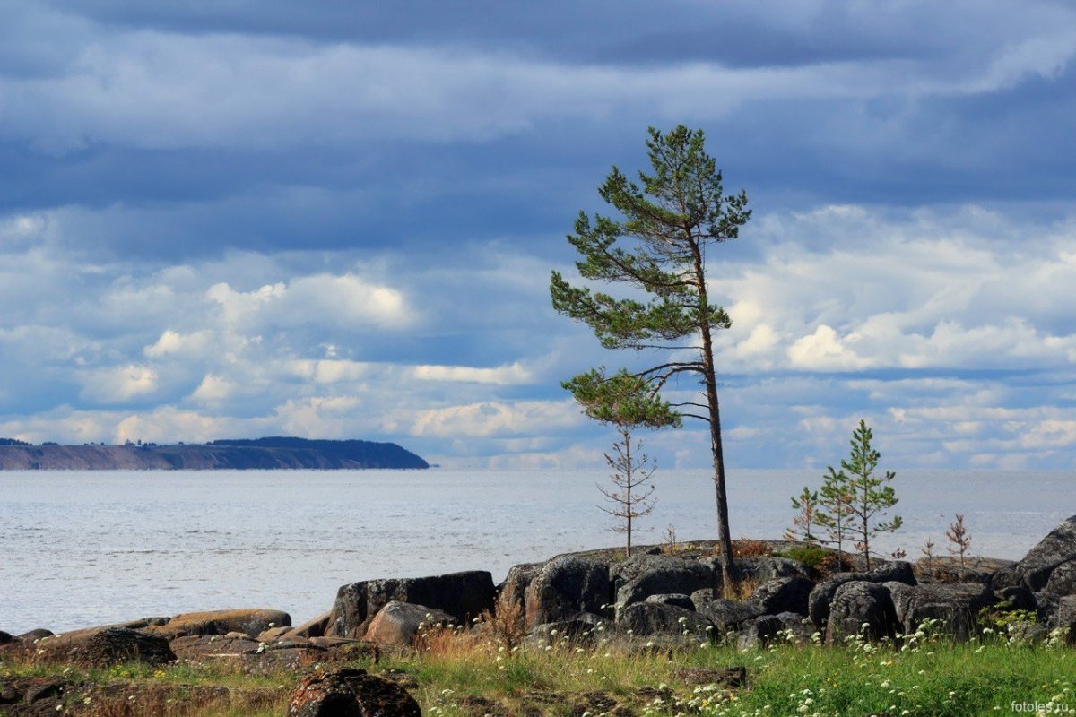 Белое море Березники