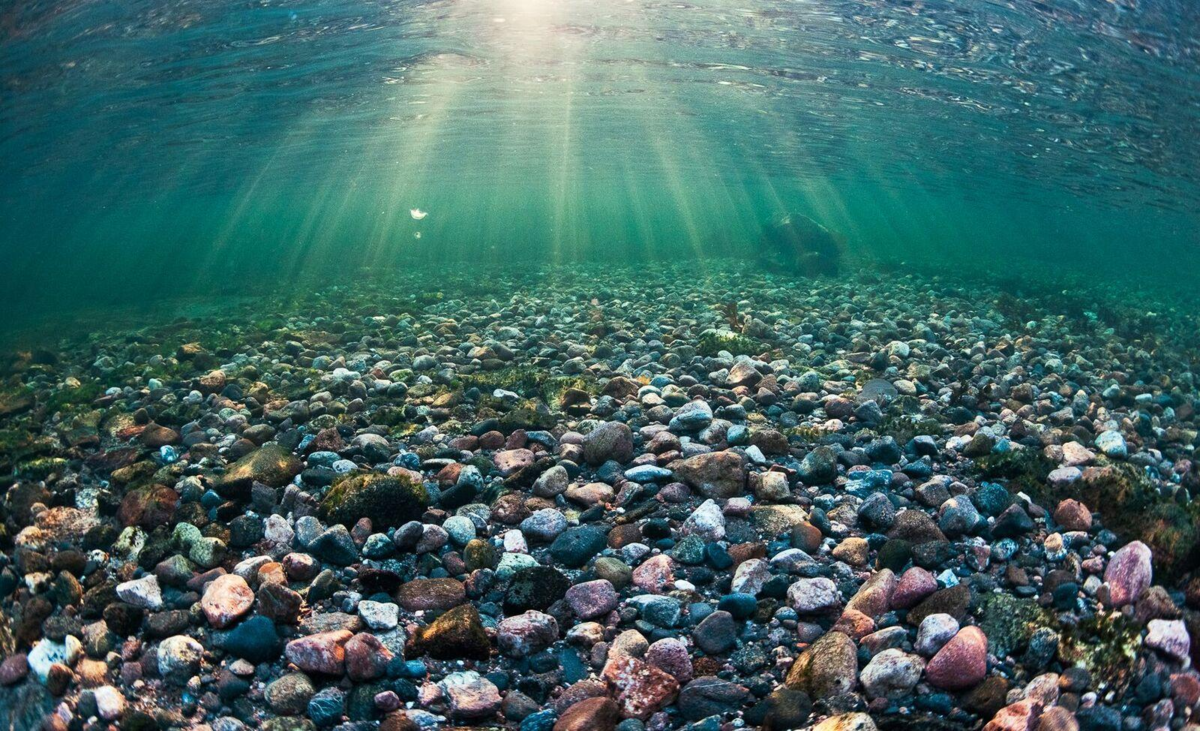 Дно Каспийского моря