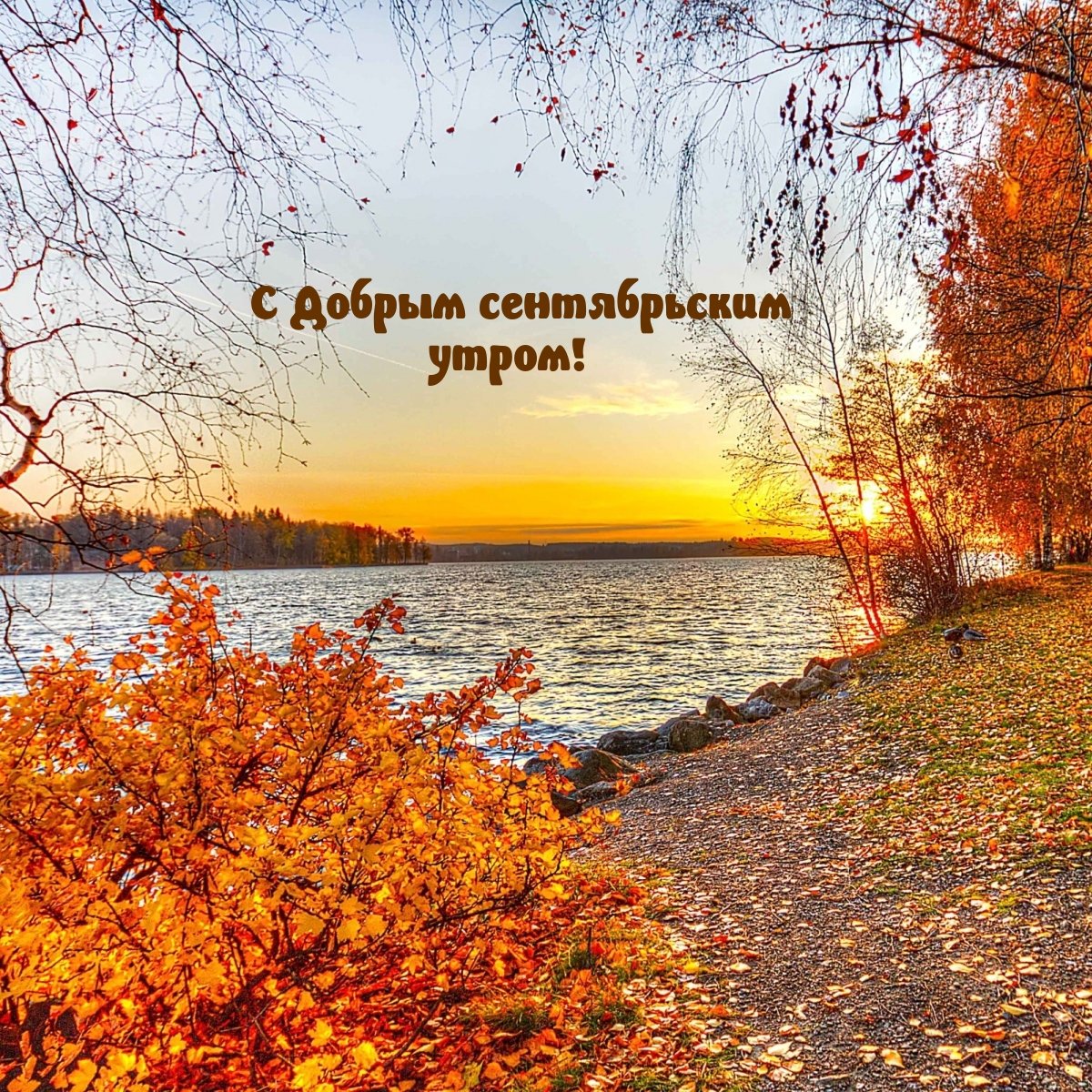 Красивая осень