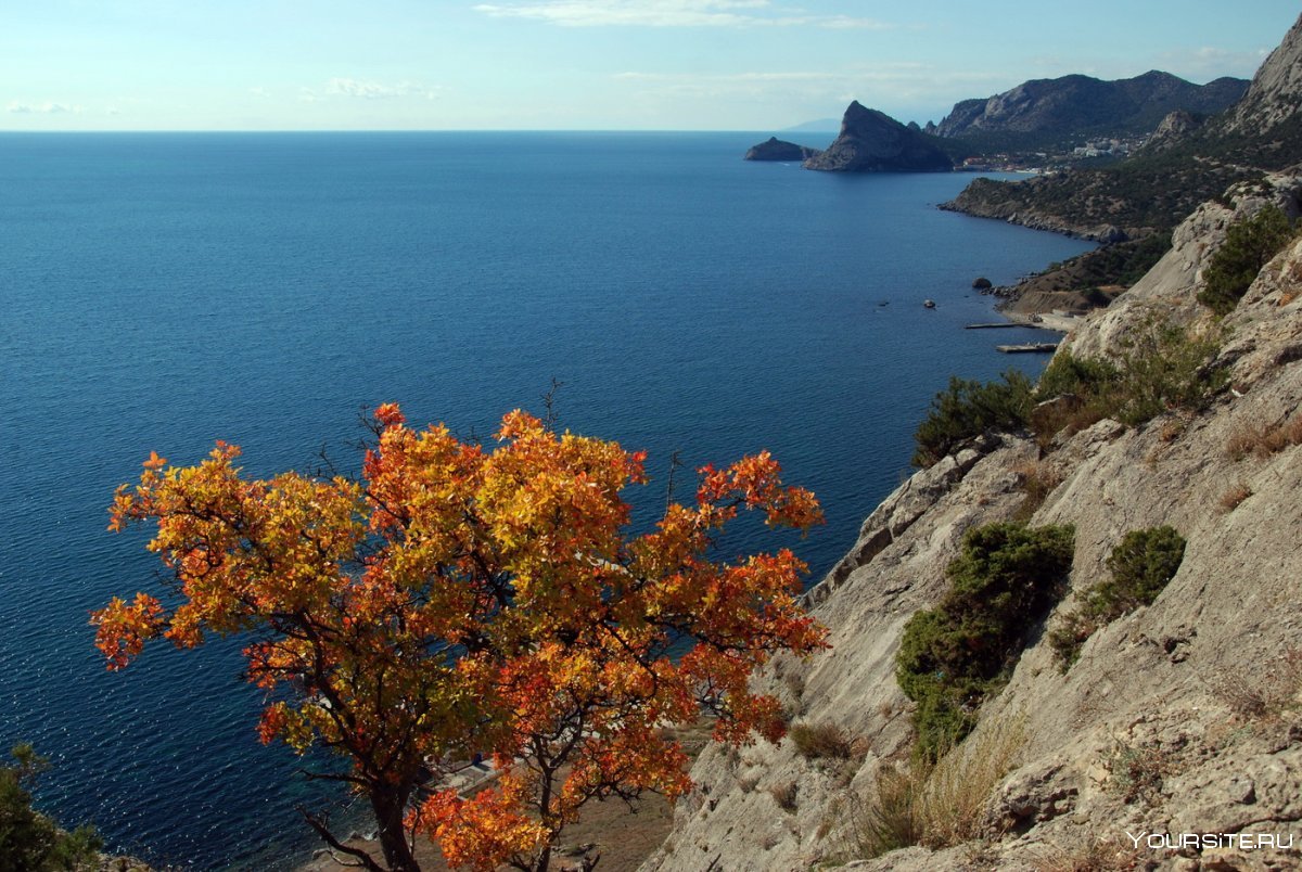 Черное море Сочи осень