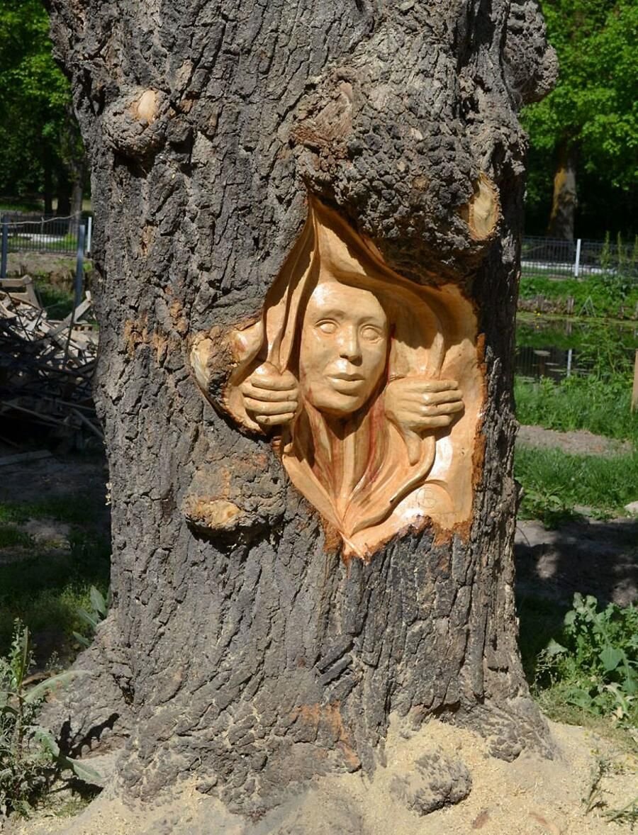 Скульптуры из пеньков дерева
