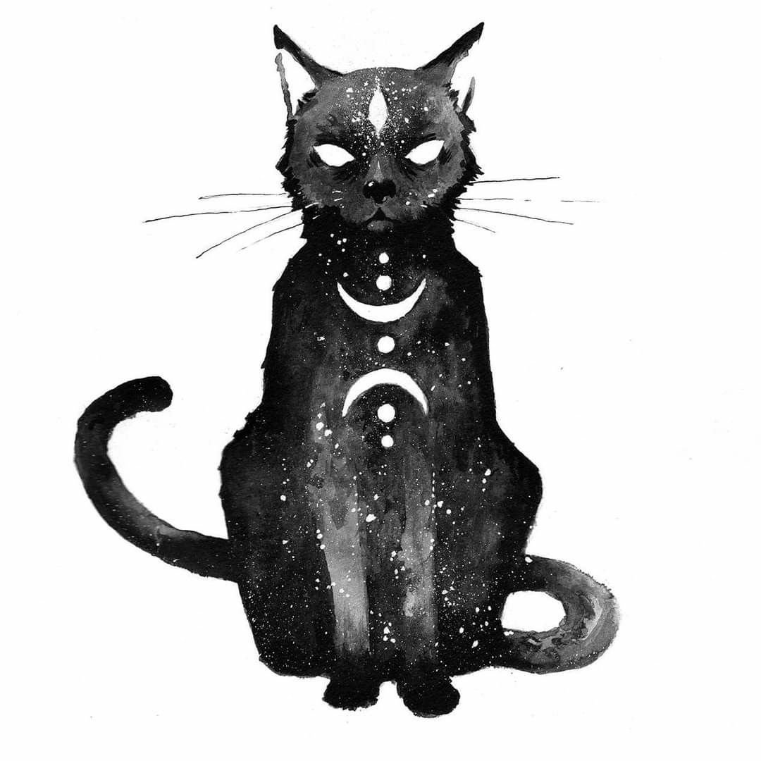 Кот арт