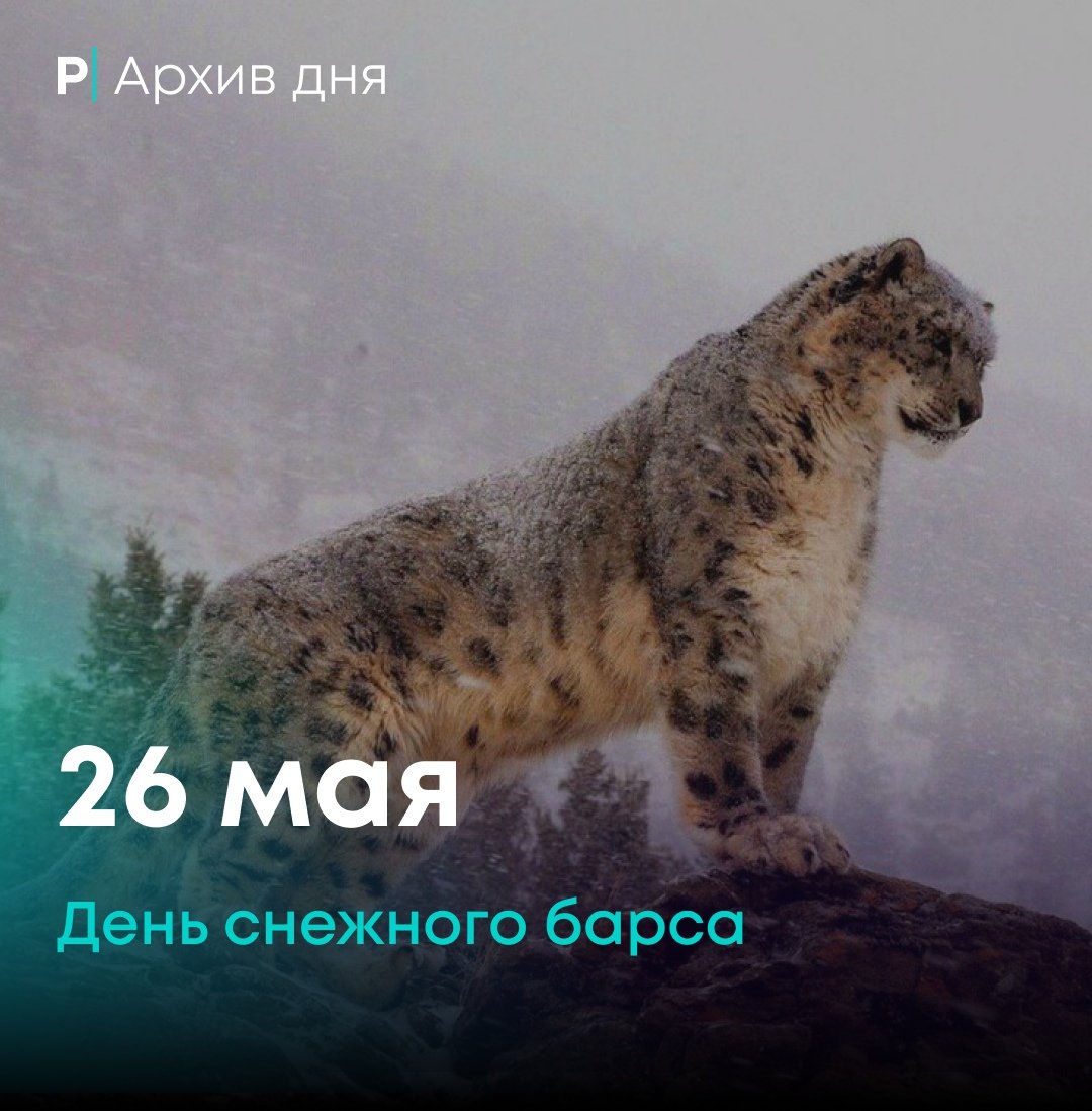 День снежного Барса на Алтае 2021