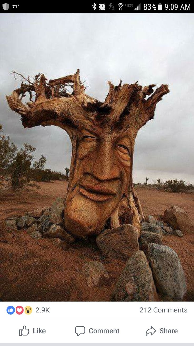 Скульптуры из корней деревьев