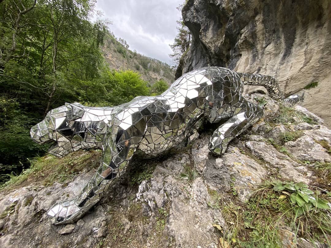 Зеркальный Барс в Фиагдоне