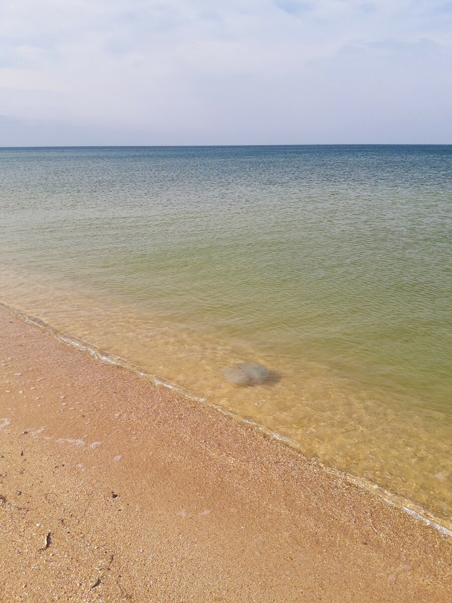 Как сейчас выглядит азовское море